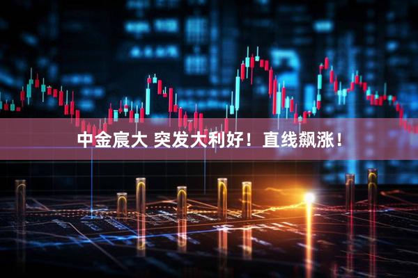 中金宸大 突发大利好！直线飙涨！