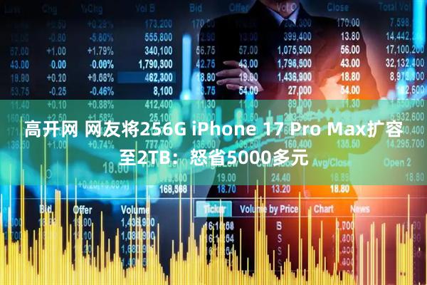 高开网 网友将256G iPhone 17 Pro Max扩容至2TB：怒省5000多元