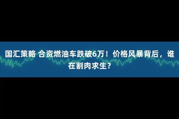 国汇策略 合资燃油车跌破6万！价格风暴背后，谁在割肉求生？